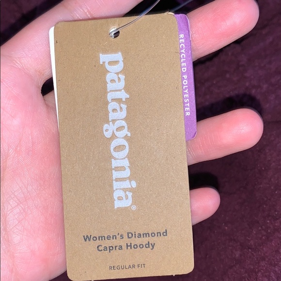 NWT Patagonia Diamond Capra Fleece Pullover Hoodie - Picture 13 of 15